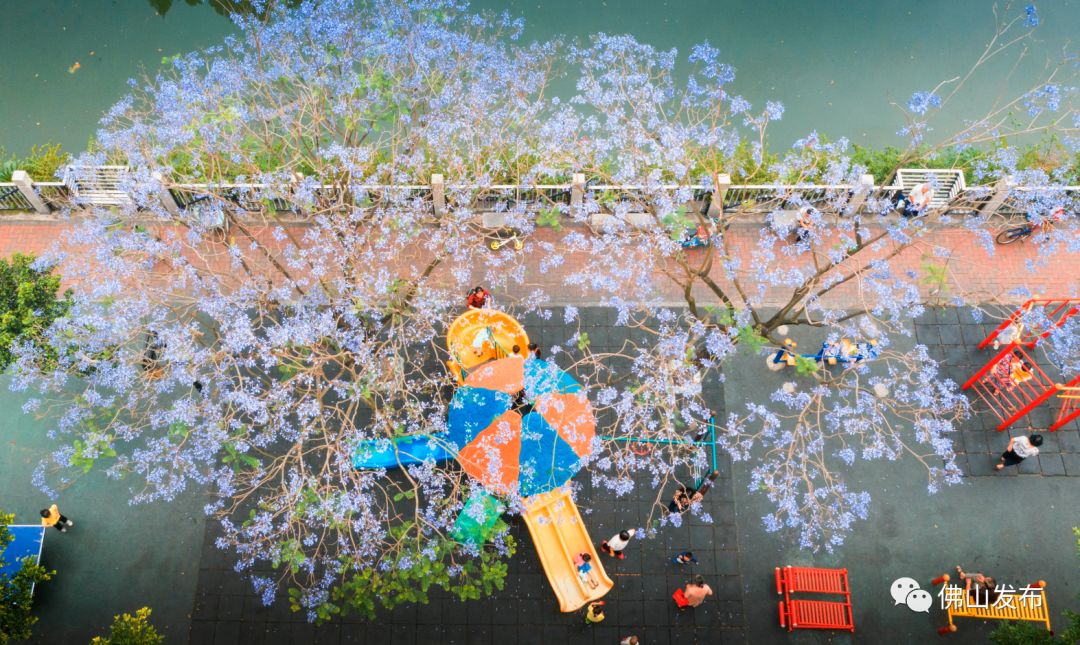 鎴戠埍鎴戝浣涘北,鎴戠殑鑰佸浣涘北