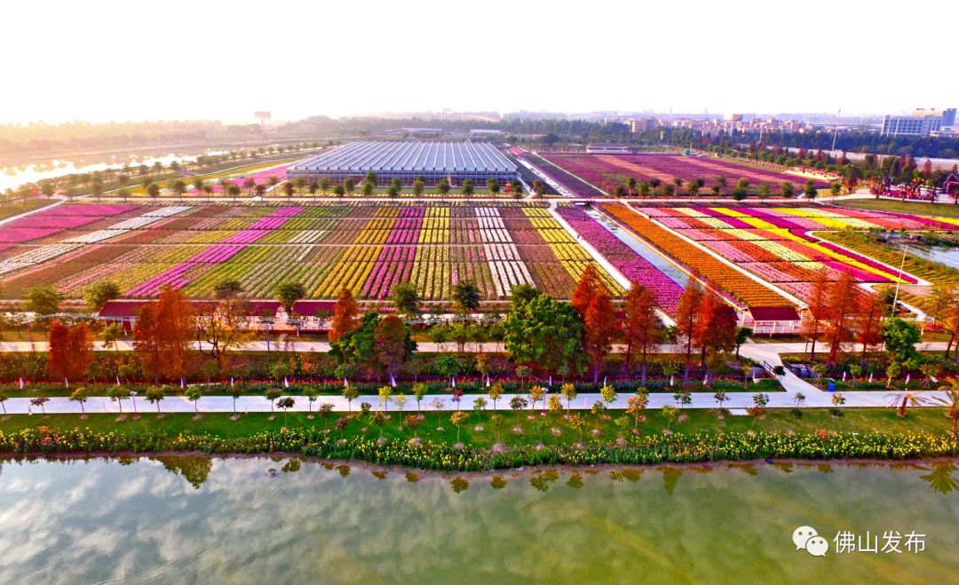 鎴戠埍鎴戝浣涘北,鎴戠殑鑰佸浣涘北