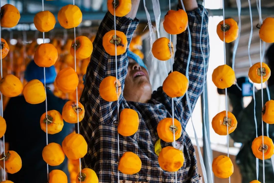 补货啦！柿饼界的小花旦，果冻Q心