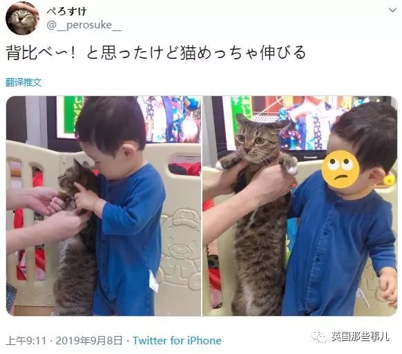 喵星人的日常图片大全,最好看的喵星人图片