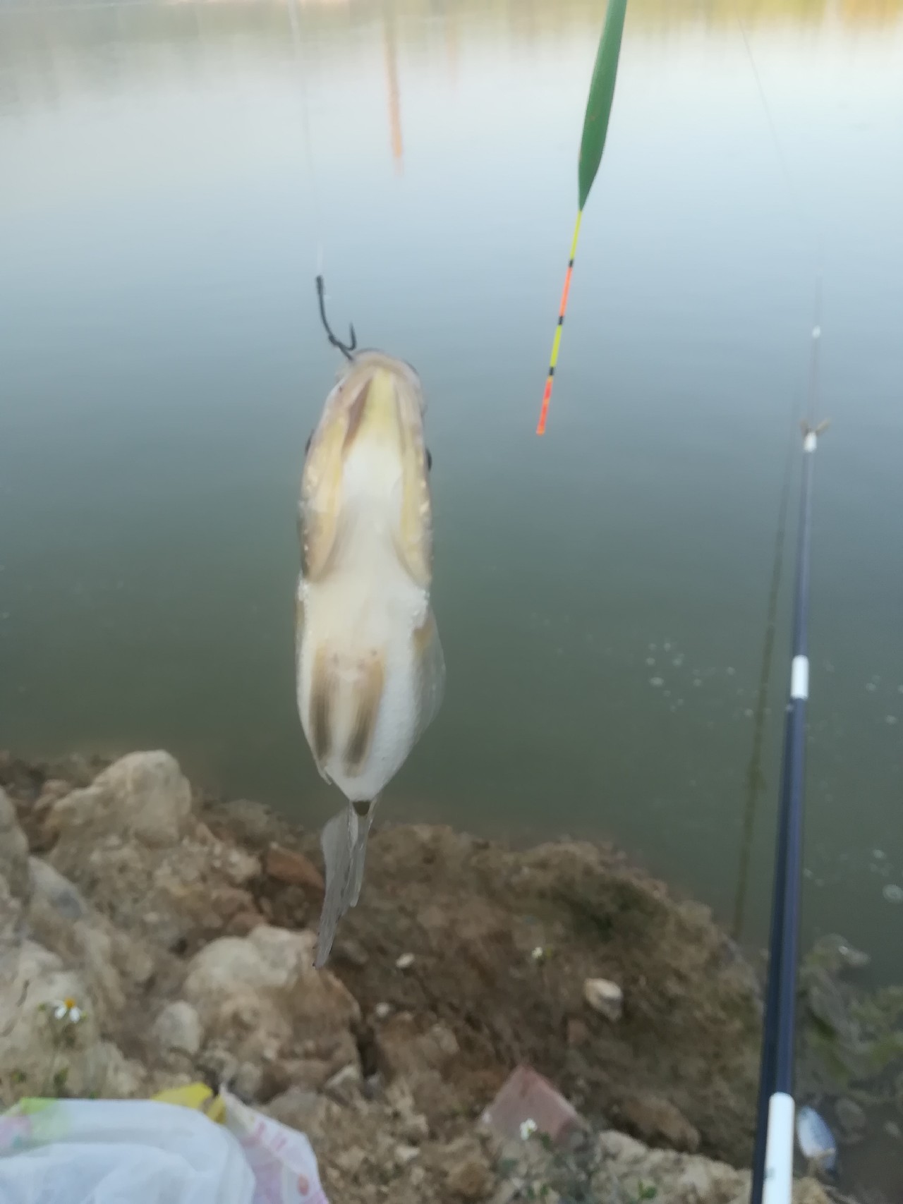 野钓常买的鸡肋钓具误区,新手入门如何选钓具