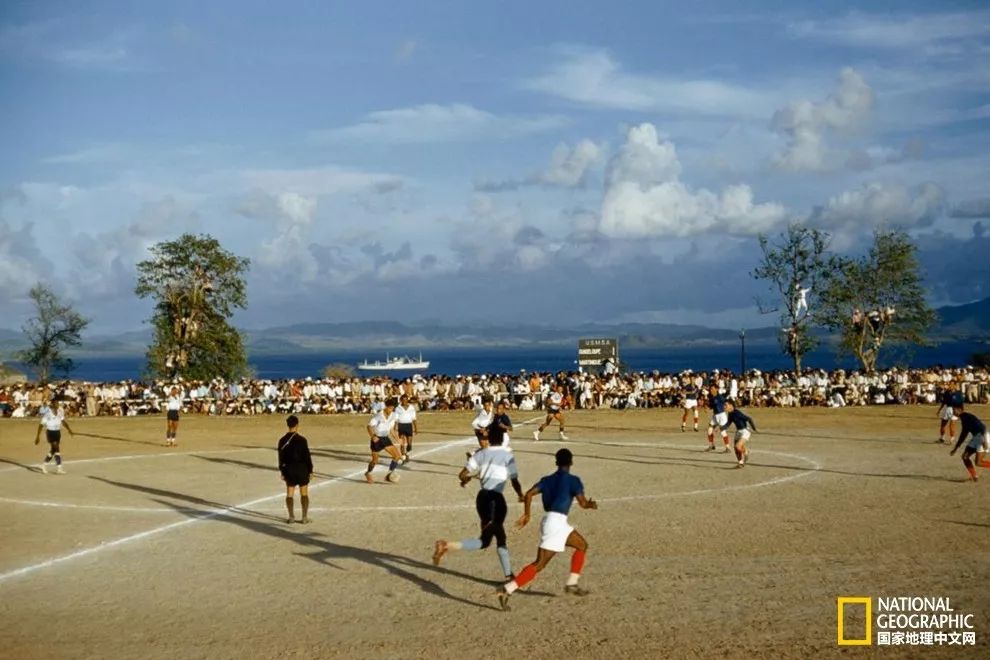 球进了,球进了吗