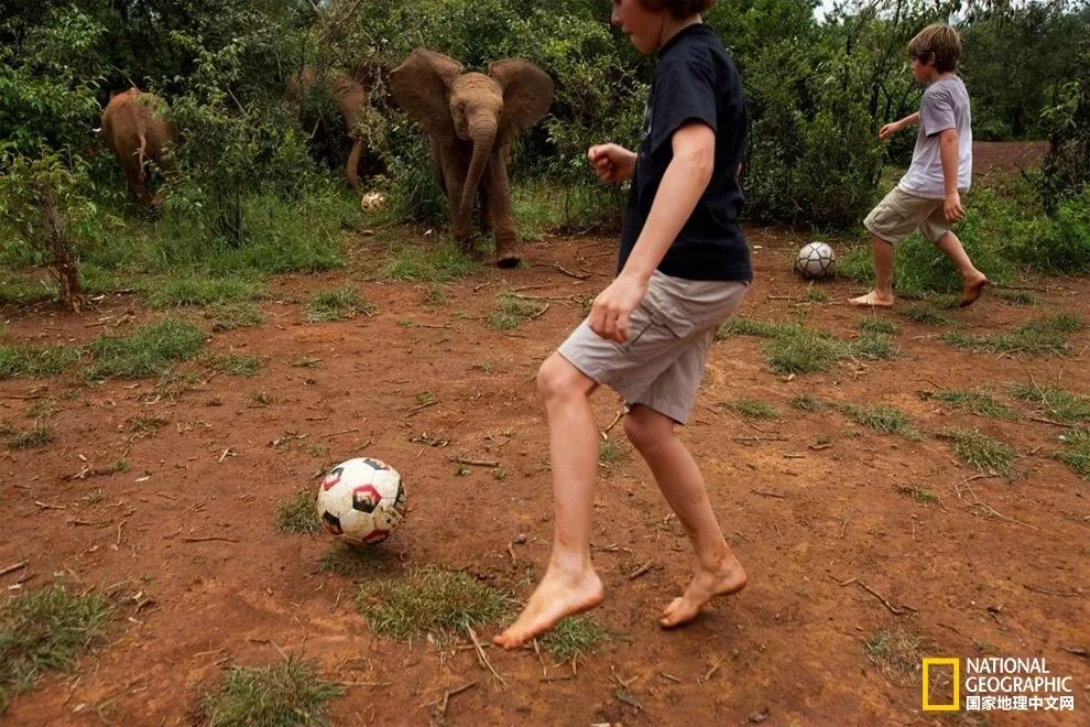 球进了,球进了吗