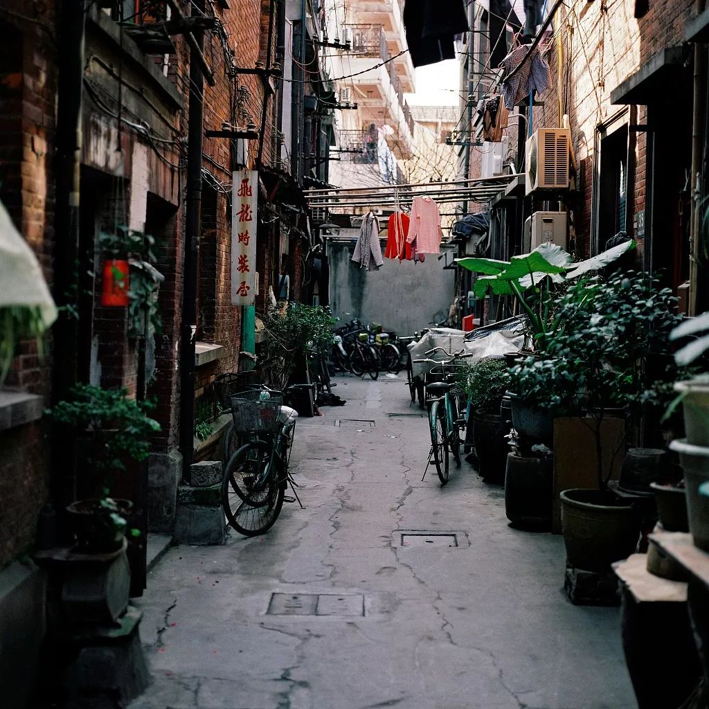 夜话丨柯灵：你还记得小时候家门口的巷弄吗？