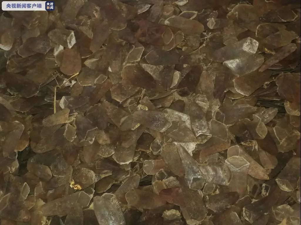 这东西成本80块，售价高达800!现场触目惊心......