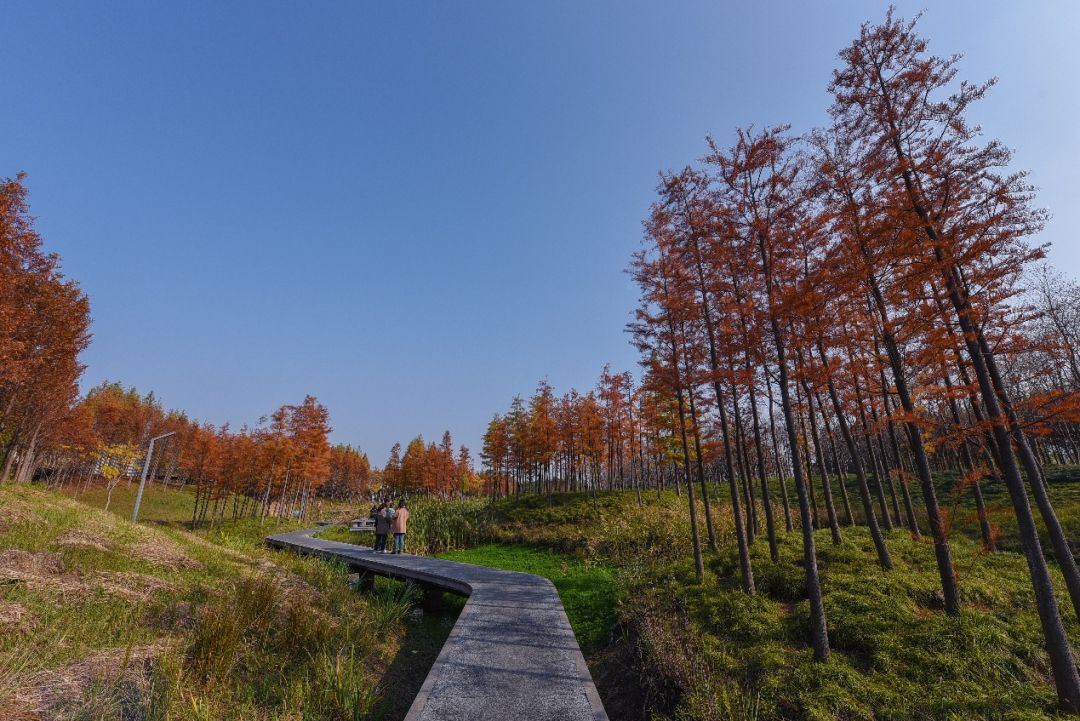 义乌十大网红打卡地,义乌网红打卡小镇