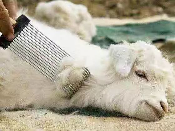 围巾冬季慵懒风韩系百搭,冬日保暖神器围脖