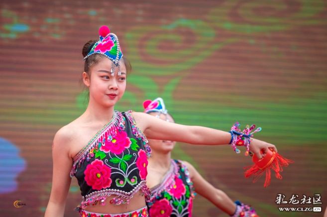 彝族漫山遍野的索玛花,索玛花盛开在高高的彝山