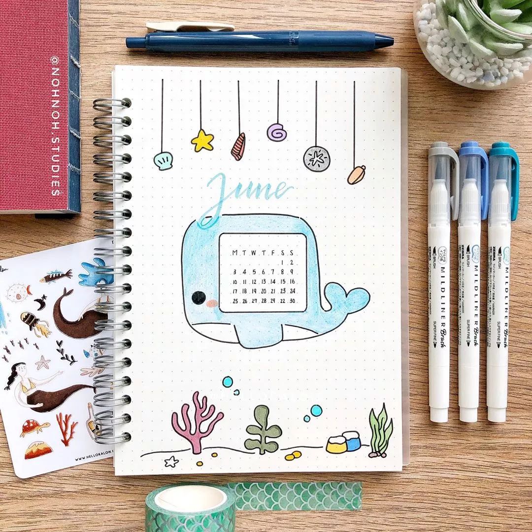 霓虹国排名,霓虹最好用的套装