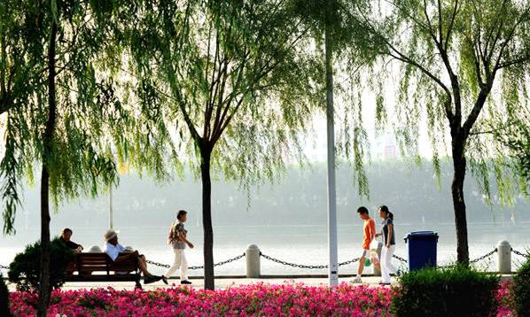 最新消息！从哈尔滨去北京只需4个半小时，比坐飞机还方便