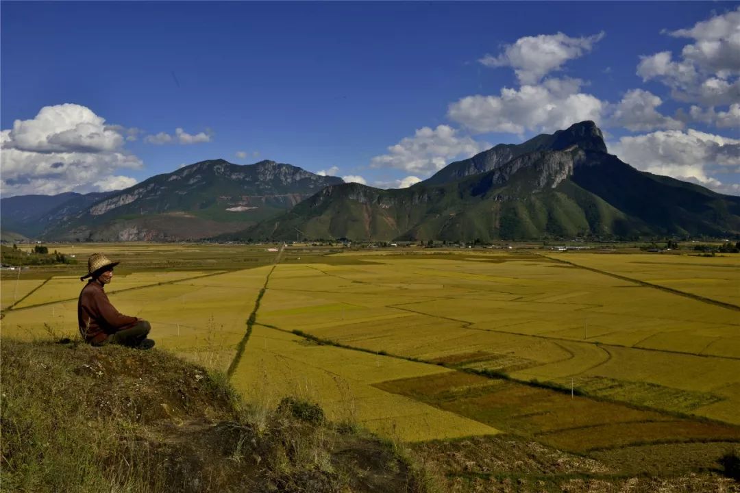 关于一张去丽江的旅游图,100张丽江照片