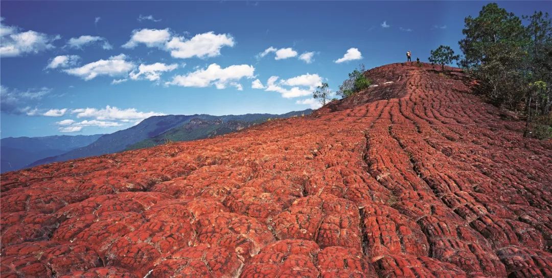 关于一张去丽江的旅游图,100张丽江照片