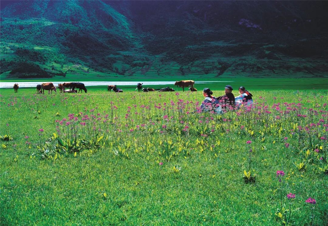 关于一张去丽江的旅游图,100张丽江照片