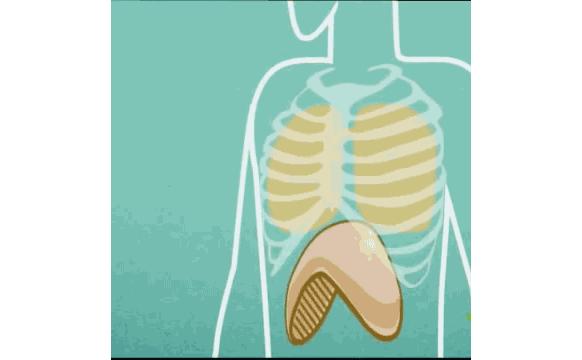 打嗝怎么办快速止嗝按哪里,打嗝怎么办快速止嗝按哪个穴位