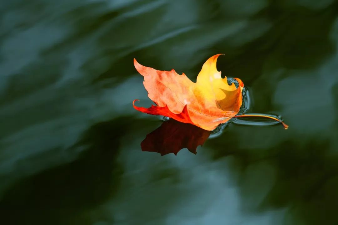 愿烟火人间安得太平美满二胡,愿烟火人间安得太平美满