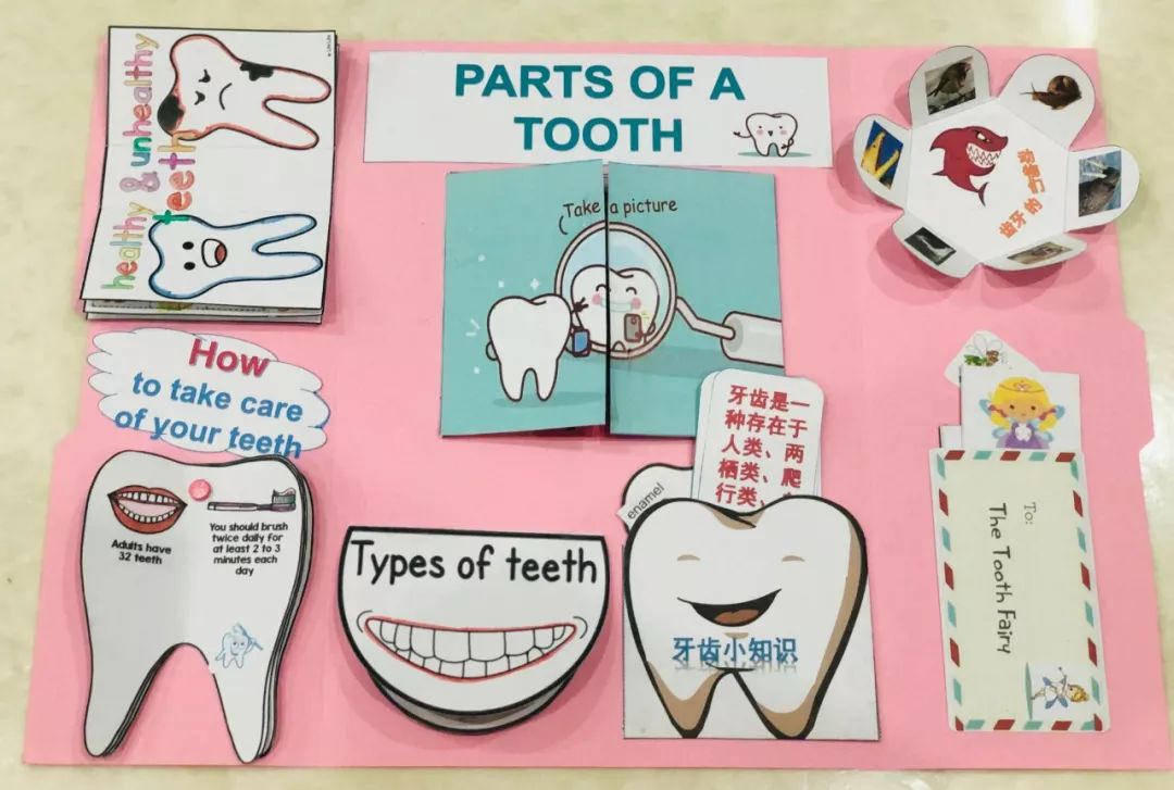 怎么制作lapbook主题翻翻书,lapbook翻翻书制作教程