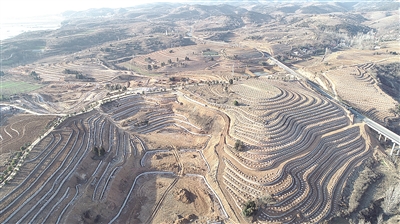 增木材强生态富民生实现生态经济效益双丰收——南阳市强力推进国家储备林项目建设