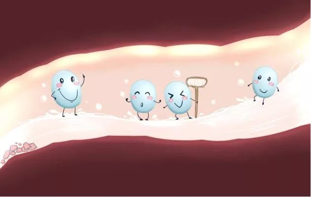 给肠道洗个澡，便秘、口臭、大肚腩都没了