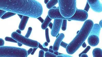 流量小花综艺首谈婚恋观,拼命奋斗竟是为攒嫁妆钱?