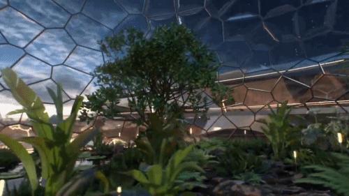 2023火星移民计划,火星移民计划