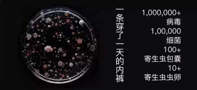 女生内裤到底有多脏,女性的内裤有多脏