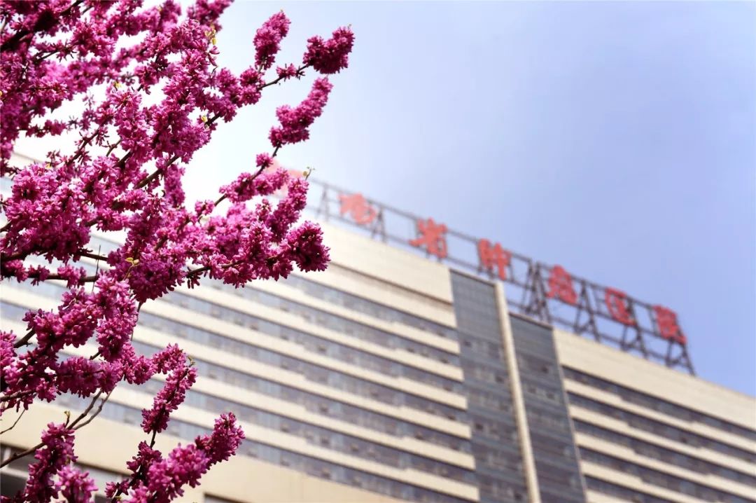 河南省肿瘤医院癌症筛查,河南省肿瘤医院癌症热疗技术