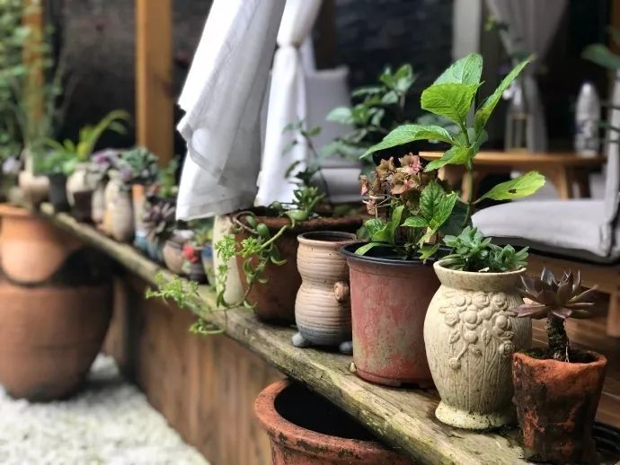 成都本地人推荐的温泉,成都人泡温泉的地方