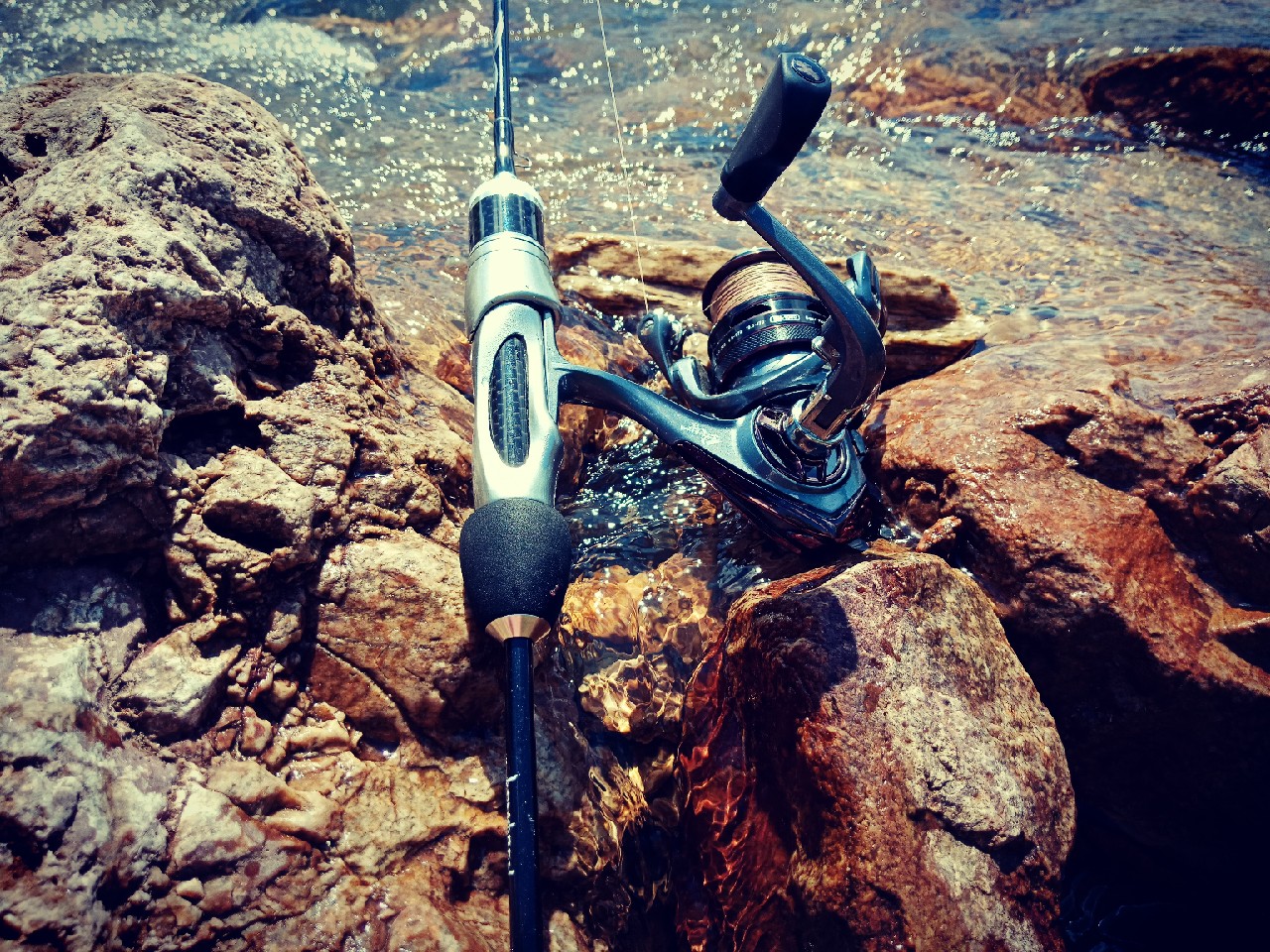 打中了第一尾白条后，我家人怀疑我在吸毒