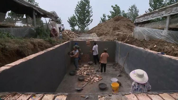 生态养鸭促振兴,发展蛋鸭产业推进乡村振兴