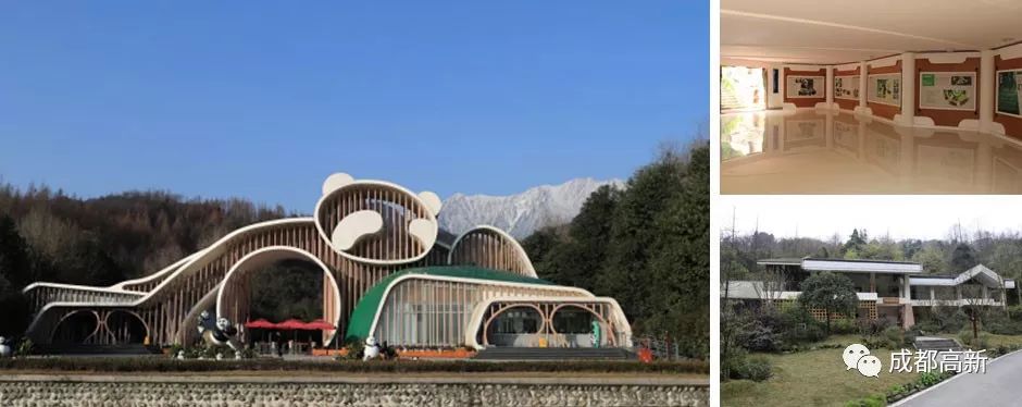 2021年成都熊猫基地门票预约,成都熊猫基地门票多少钱一张