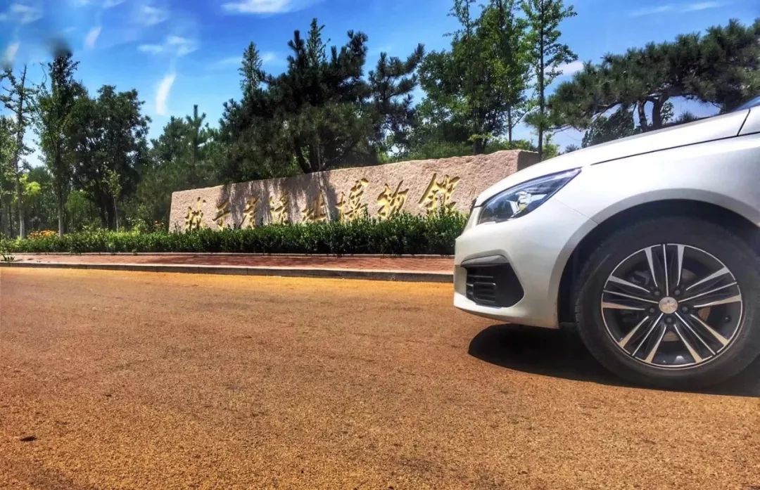 因《的士速递》买了省油能装的标致308！操控稳如狗，开起来像跑车？车主却揭开“辛酸”秘密...