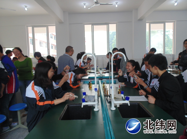 凝心聚力展风采拼搏进取创佳绩,凝心聚力绽放华彩