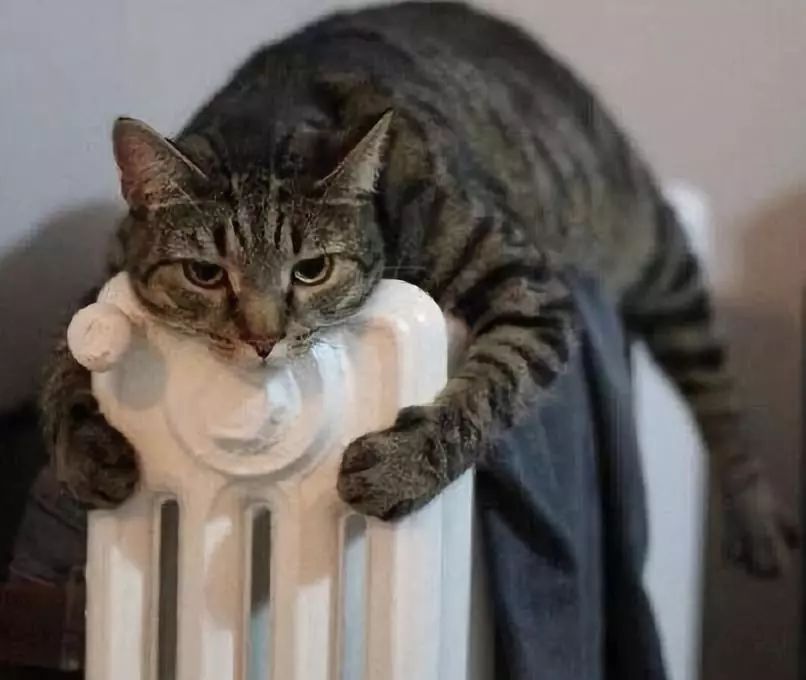 零下30度的东北吃冰,东北人为啥零下30度还要囤雪糕