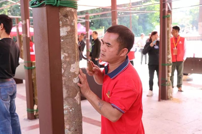 云南省焊接技能大赛,云南省割胶技术培训视频