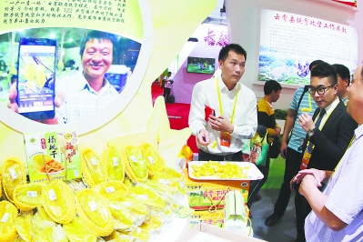 电商创业帮扶,电商帮扶企业发展思路图