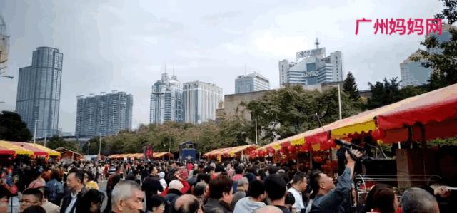 广州迎春花市哪里值得去,广州迎春花市指南