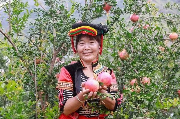 2019新电商在四川:励志残疾商家感动全国百亿补贴催生真香定律