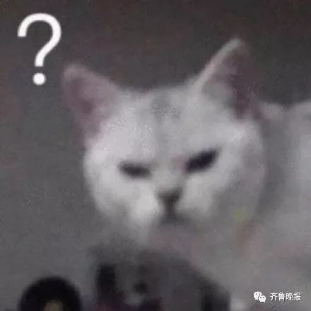 立扫把朋友圈说说,为何立扫把刷爆朋友圈