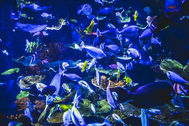 猝不及防闯入你的容颜|你好,青岛