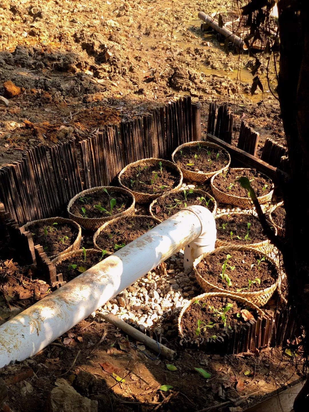 让农村人居环境更优美,让乡村生态环境更美