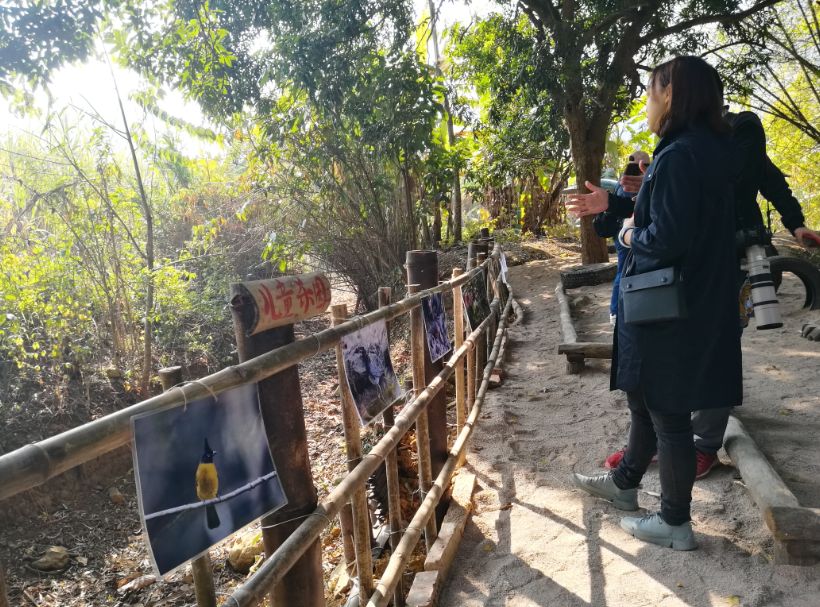 让农村人居环境更优美,让乡村生态环境更美