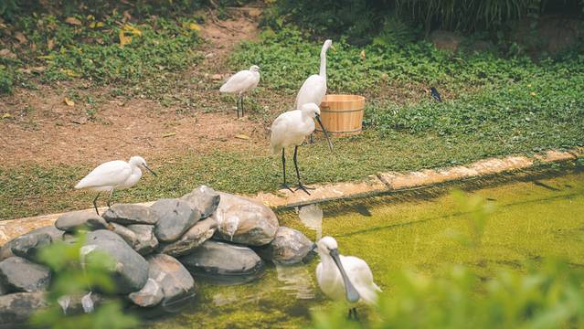 海底探秘视频,海底探秘海洋馆