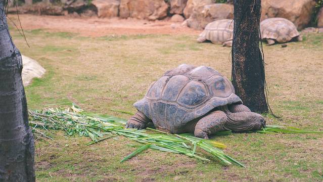 珠海长隆海洋王国海底夜宿,珠海长隆海洋王国鲸鲨馆海底区