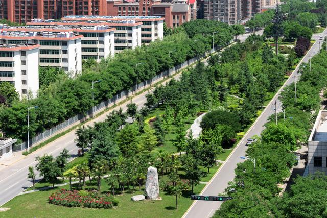 渭南高新区民生实事,渭南高新区2020民生项目