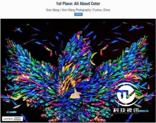 eos下一代全画幅,eos全画幅单反推荐