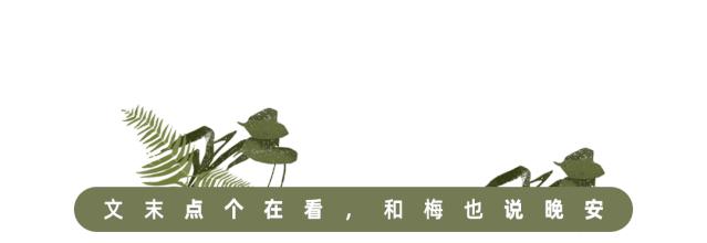 张爱玲的红玫瑰与白玫瑰经典语录,红玫瑰与白玫瑰张爱玲讲的是啥