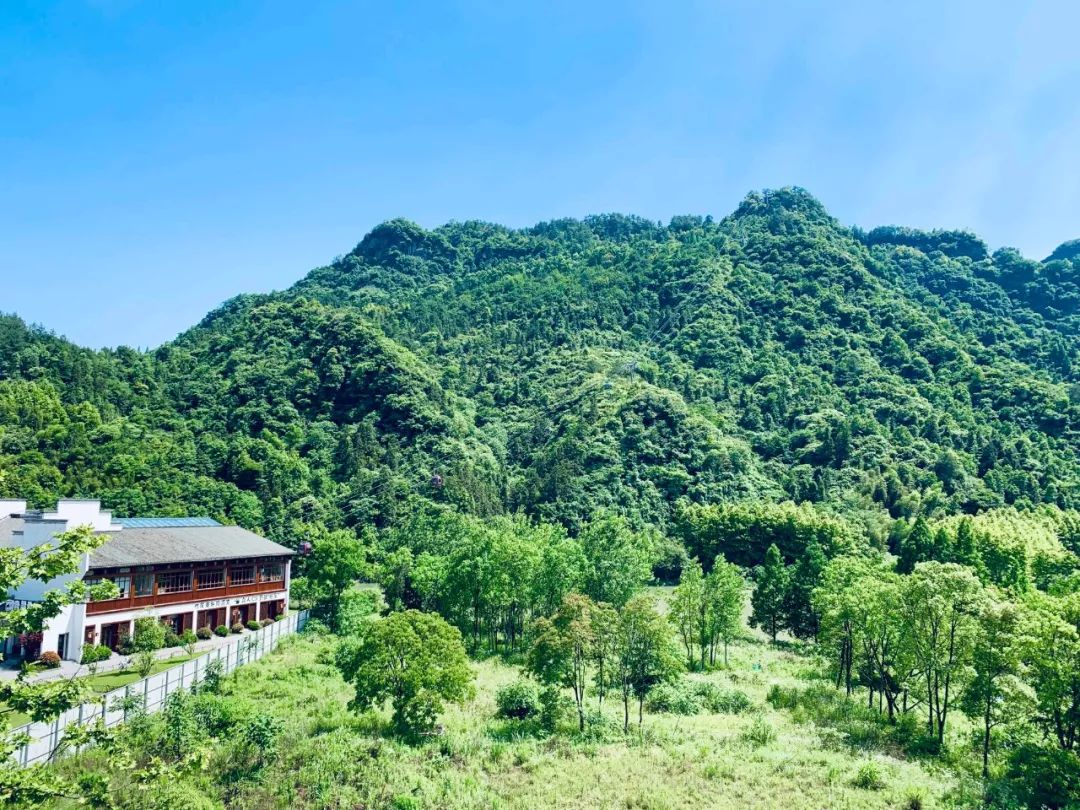 成都五一露营星空云海,云海五一旅游攻略最新