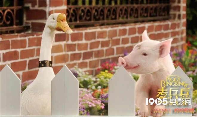 称霸元旦档的TA们,凭啥在银幕上备受宠爱?