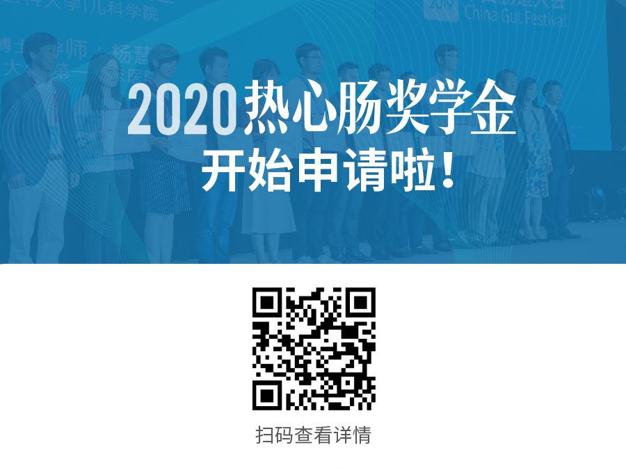 蚊子草怎么吃最好,蚊子草的食用方法