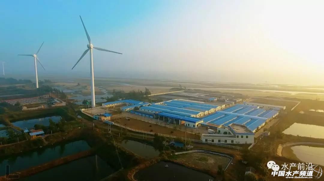 10个人，12口塘，一造虾豪赚132万